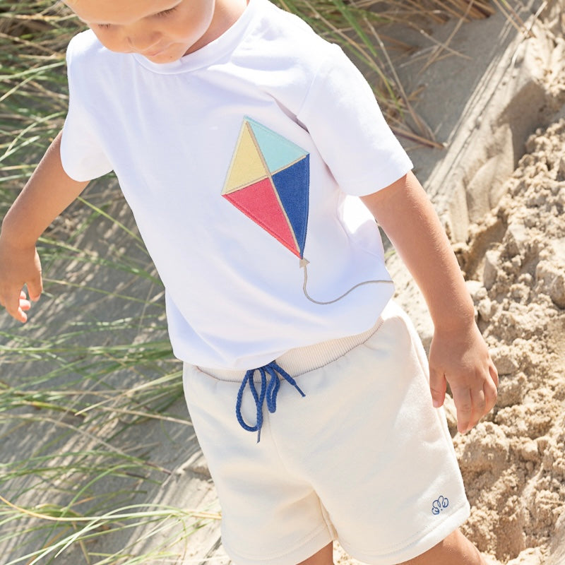 BOY T-SHIRT KITE back view – kite print t-shirt for boys